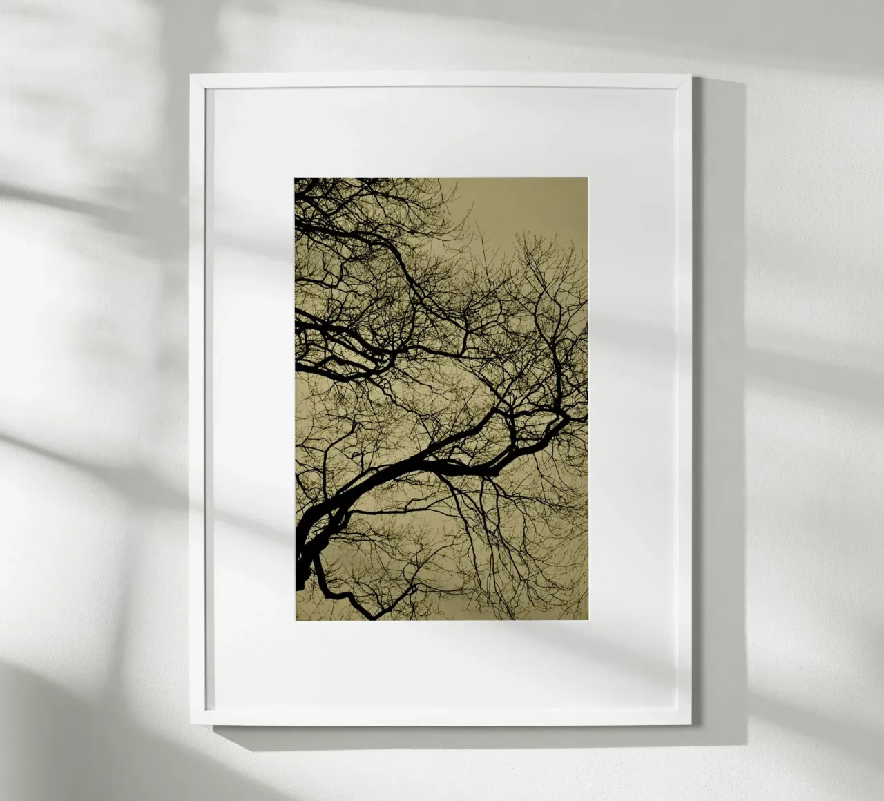 Golden Houre Abstract Branches carta hahnemühle da Studio Nahili