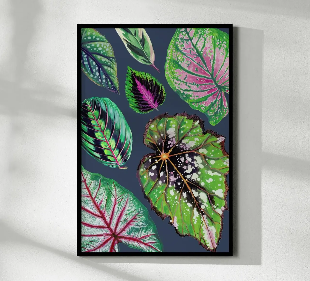 Teal Mixed Houseplants poster con telaio in plastica da Rocket68