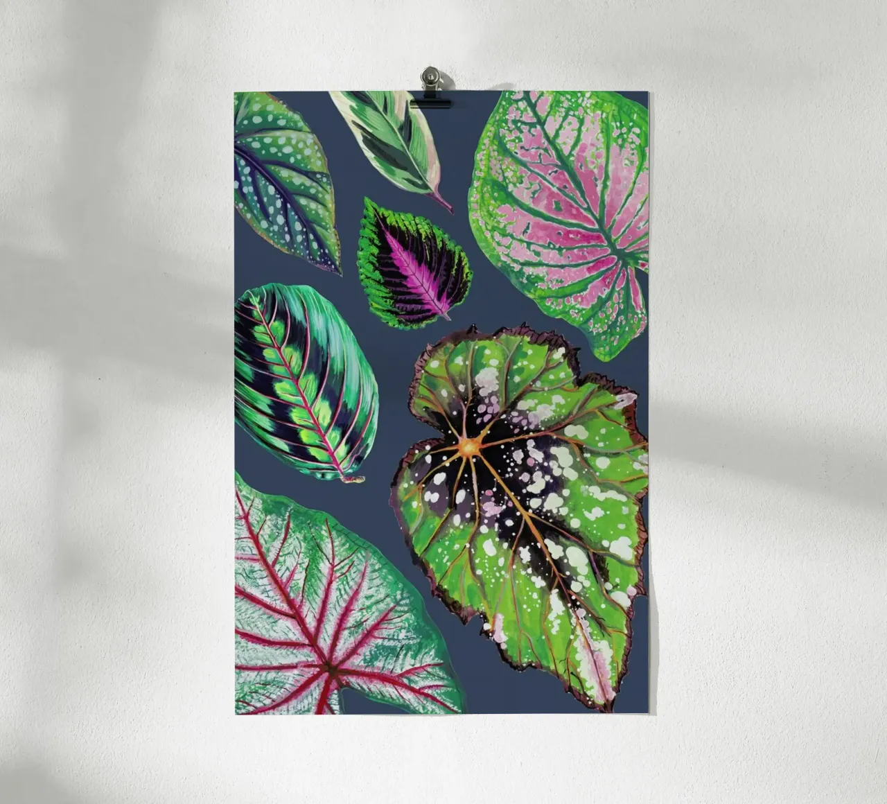Teal Mixed Houseplants poster con telaio in plastica da Rocket68