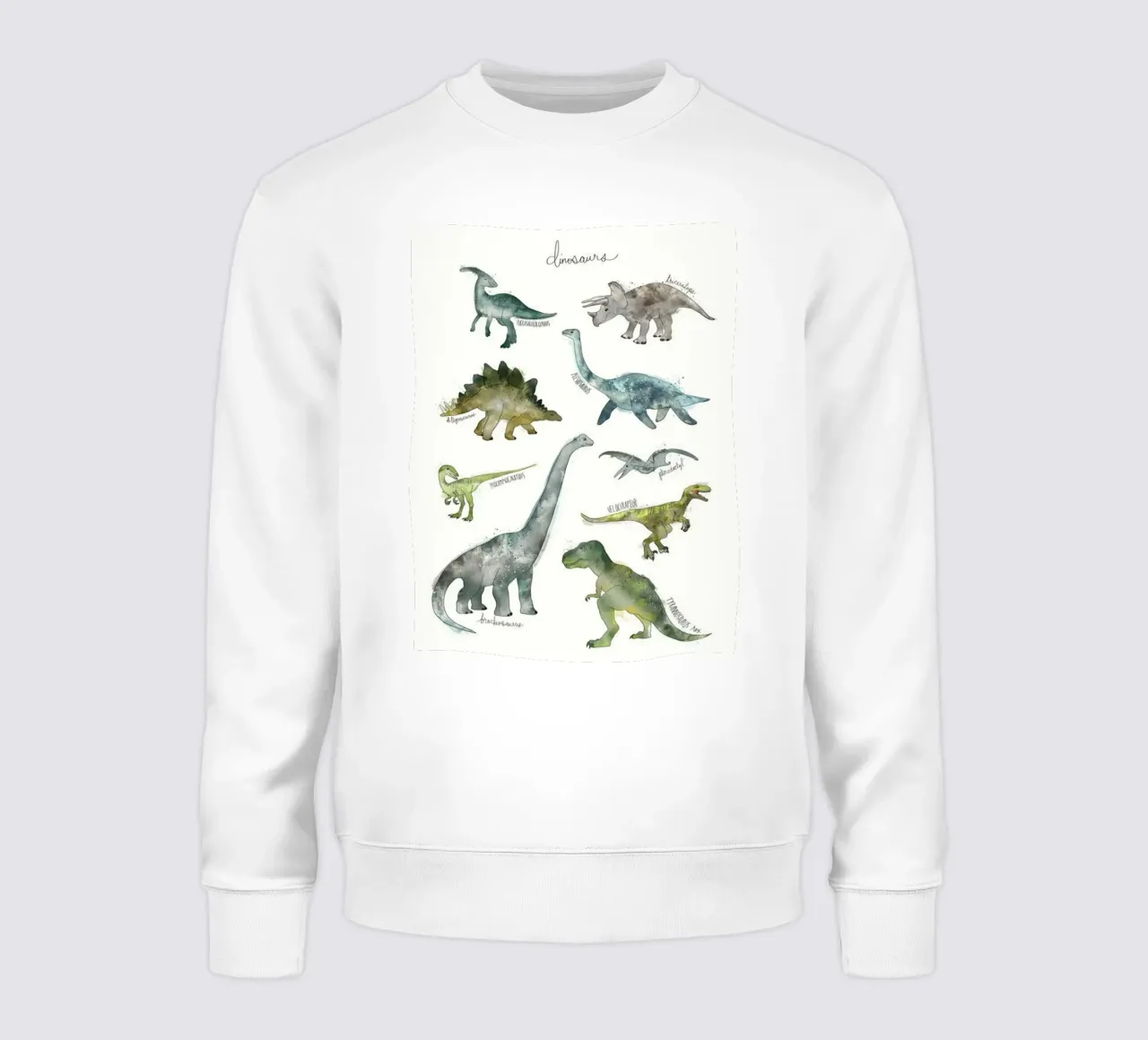 some pictures of amy hamilton dinosaurs sweatshirt by kbm store