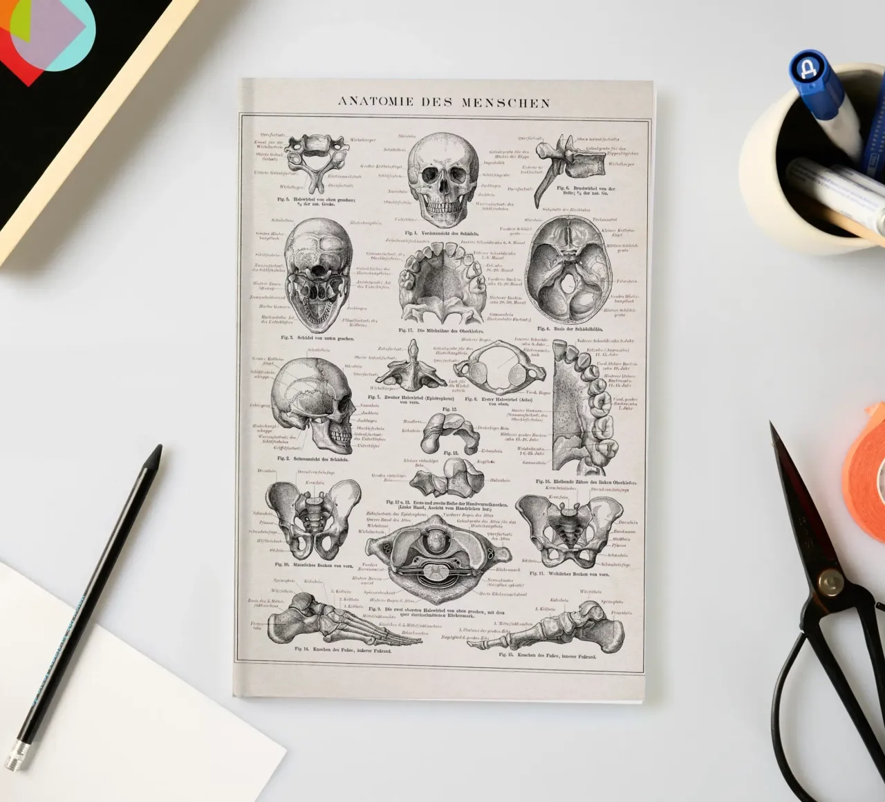 Vintage Brockhaus 3 Anatomie Mensch notebook by Vintage Print Collection