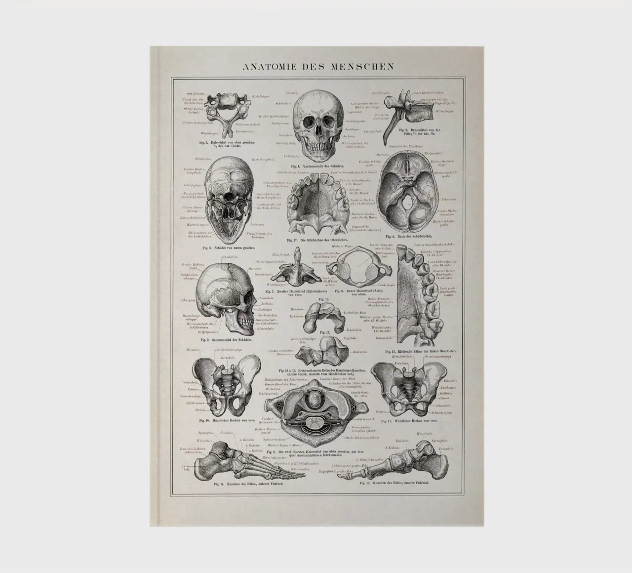 Vintage Brockhaus 3 Anatomie Mensch notebook by Vintage Print Collection