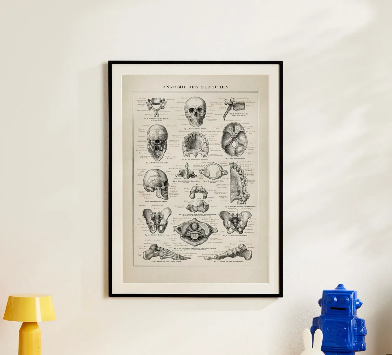 Vintage Brockhaus 3 Anatomie Mensch poster met aluminium frame van Vintage Print Collection