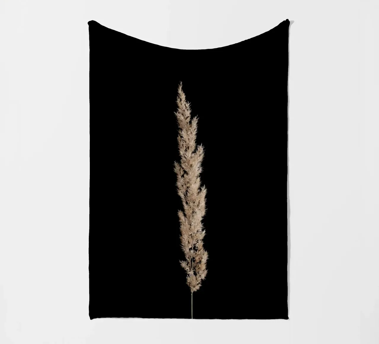 Minimal Pampas Grass On Black coperta in pile da Studio Nahili
