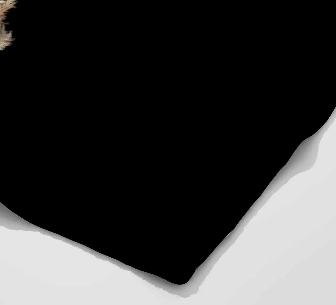 Minimal Pampas Grass On Black coperta in pile da Studio Nahili