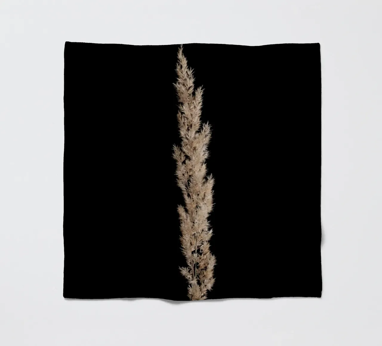 Minimal Pampas Grass On Black coperta in pile da Studio Nahili