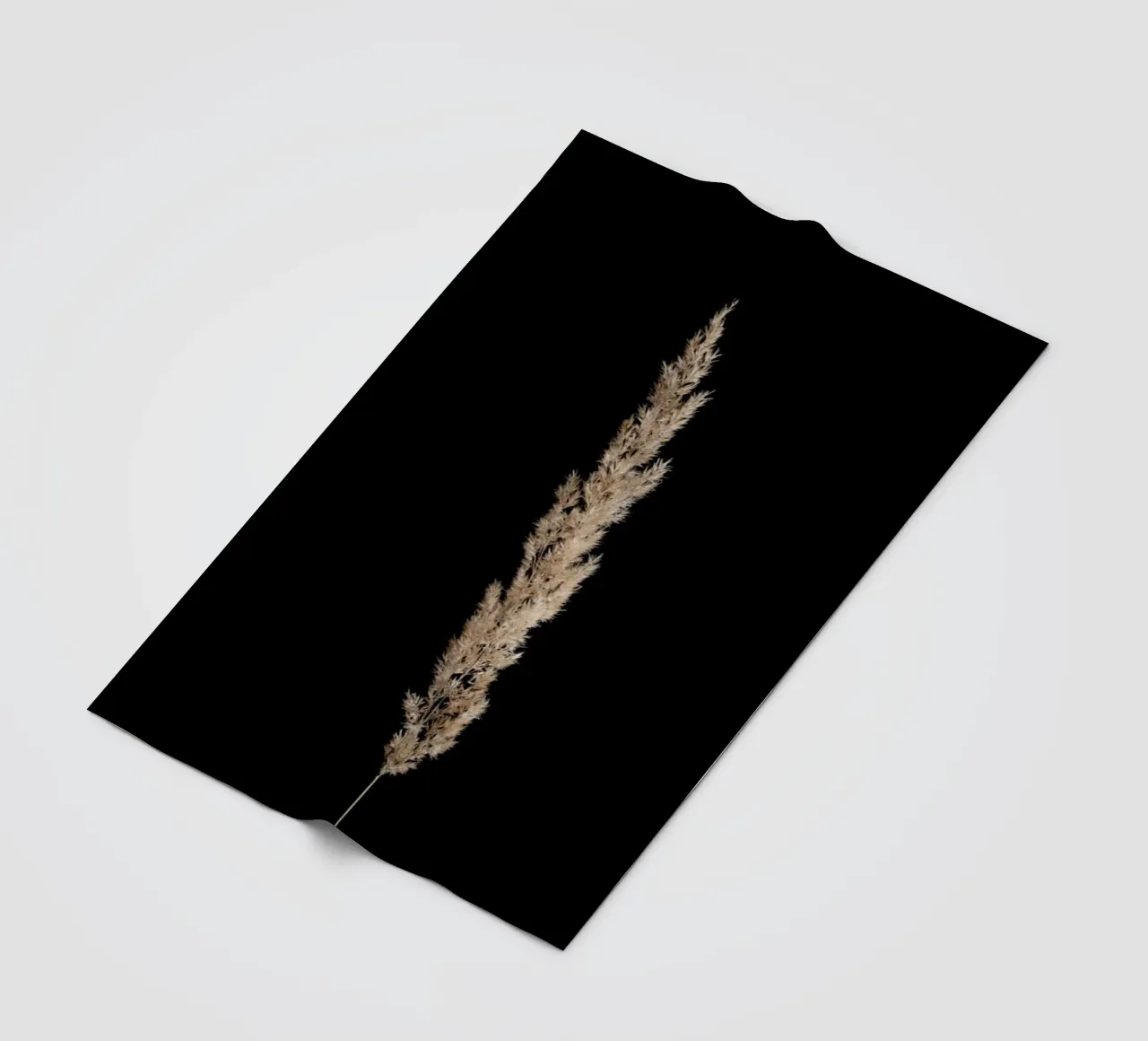 Minimal Pampas Grass On Black coperta in pile da Studio Nahili