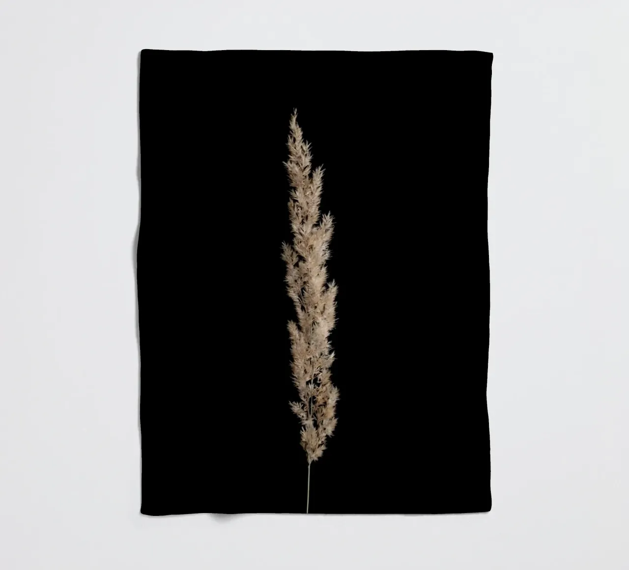 Minimal Pampas Grass On Black coperta in pile da Studio Nahili