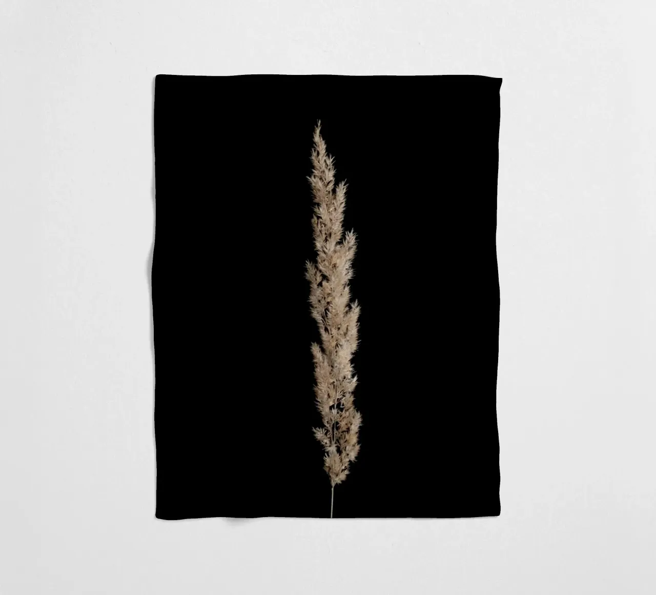 Minimal Pampas Grass On Black coperta in pile da Studio Nahili