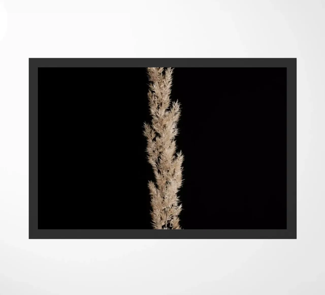 Minimal Pampas Grass On Black zerbino da Studio Nahili