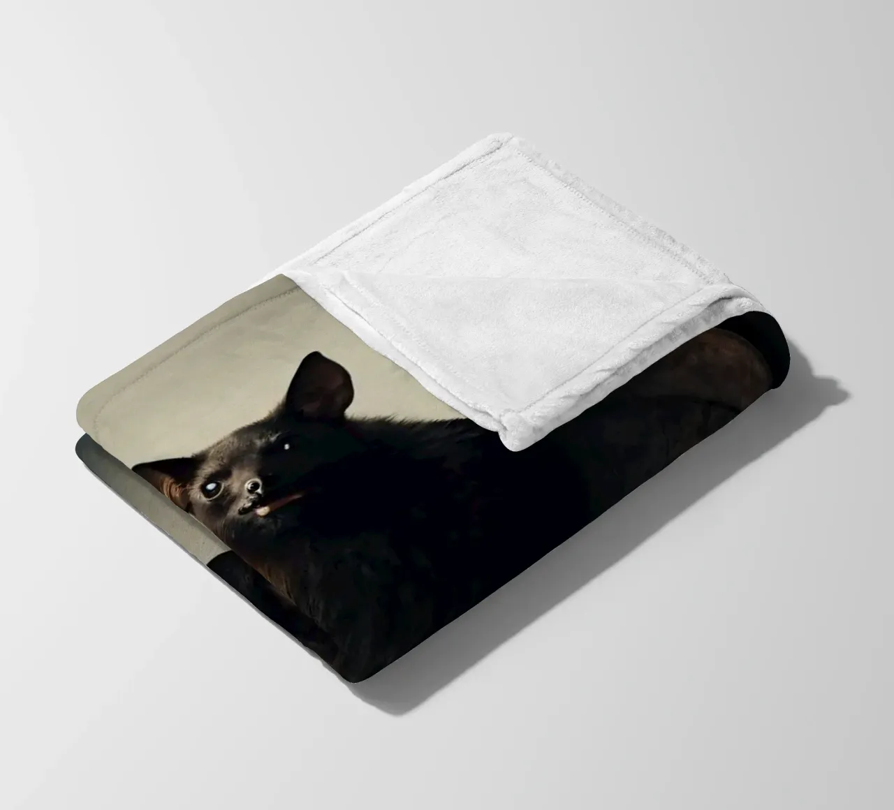 Un pipistrello sospeso a mezz'aria che mette in mostra la sua impressionante apertura alare coperta in pile da DesignDoodle