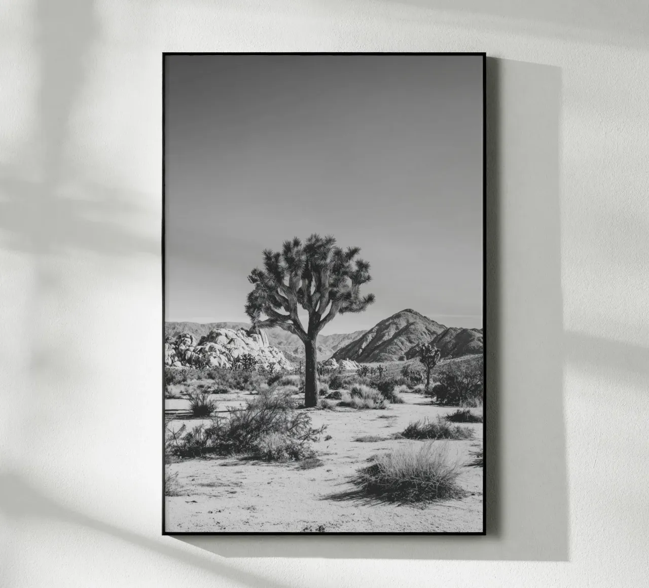 Maestoso deserto di Joshua Tree in bianco e nero plexiglass da Indigo Tides Art