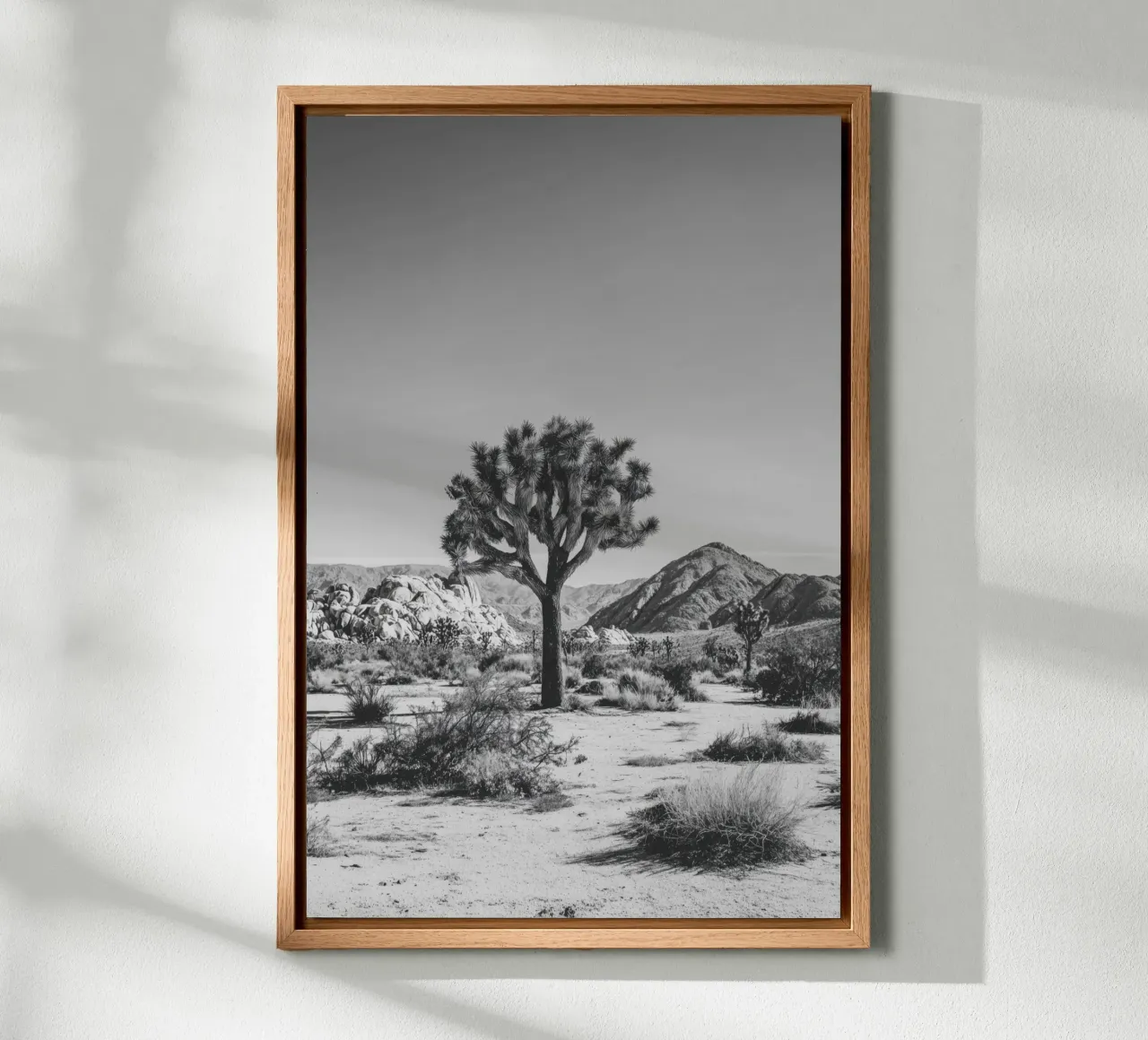 Maestoso deserto di Joshua Tree in bianco e nero alluminio dibond da Indigo Tides Art