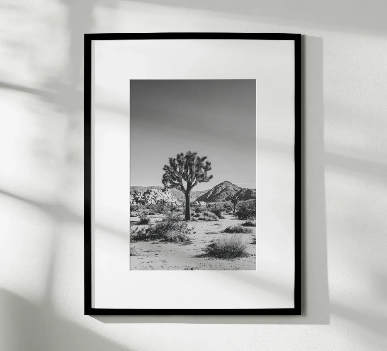 Maestoso deserto di Joshua Tree in bianco e nero carta hahnemühle da Indigo Tides Art