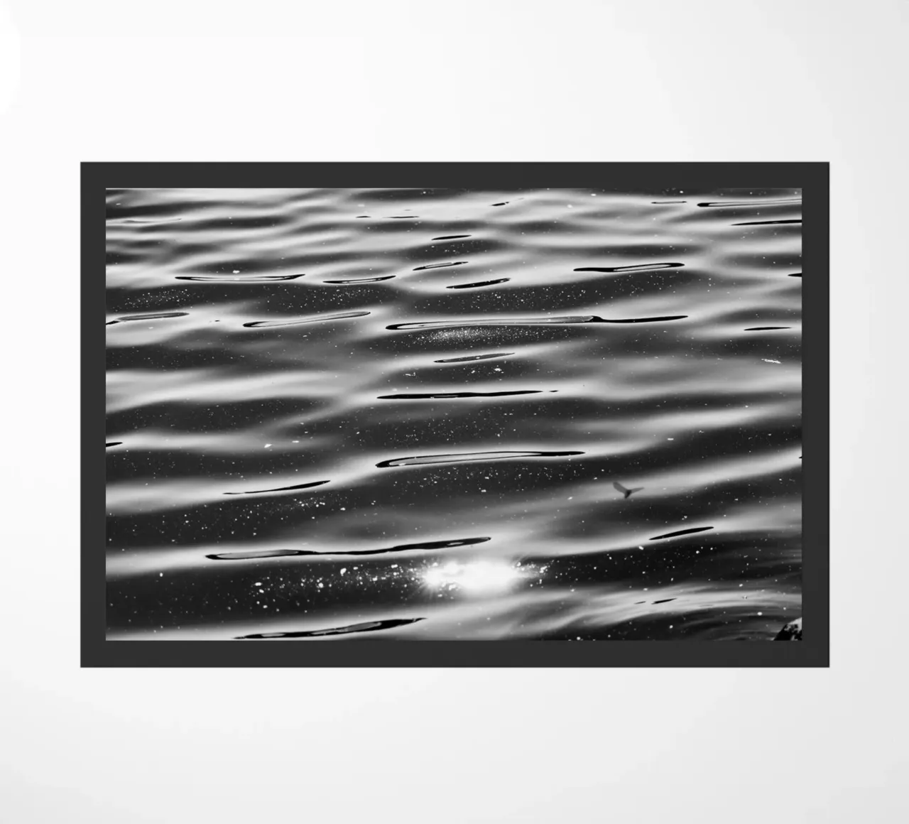 Lago Calmo zerbino da rafael campezato