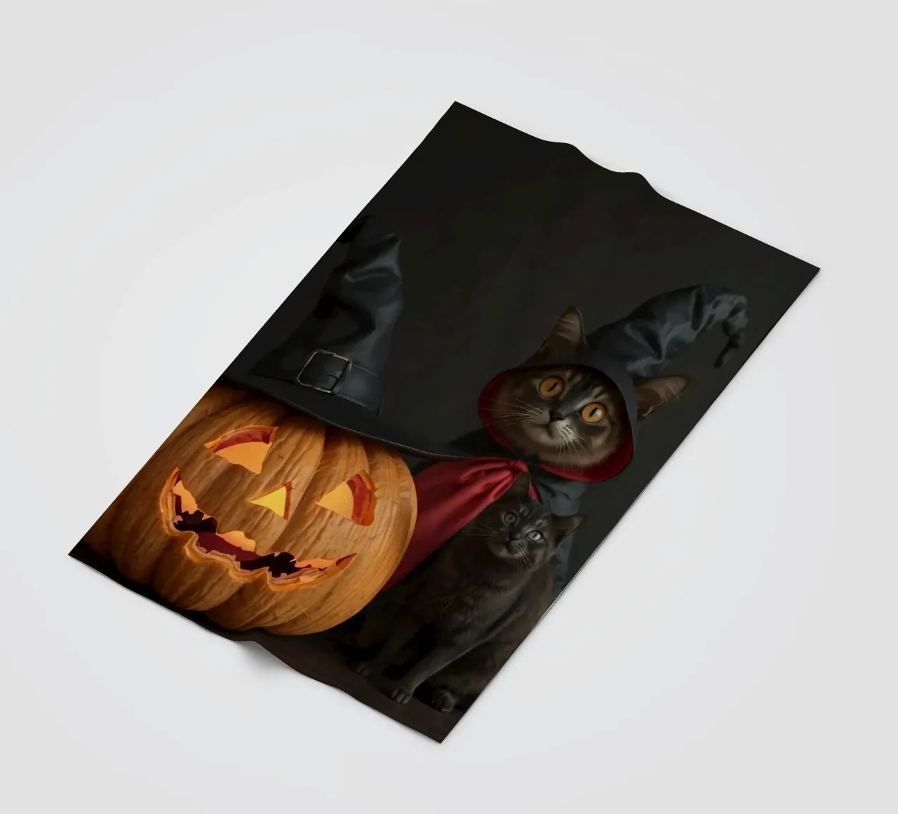 Gatti con cappelli da mago posano accanto a una zucca intagliata coperta in pile da DesignDoodle