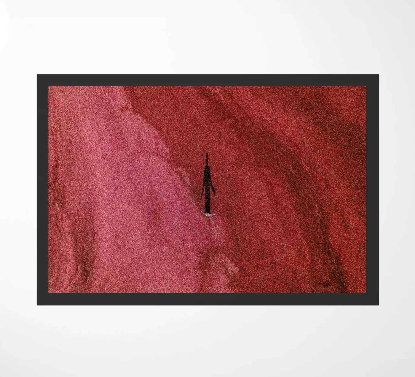 Cranberries II zerbino da METROPOLIS