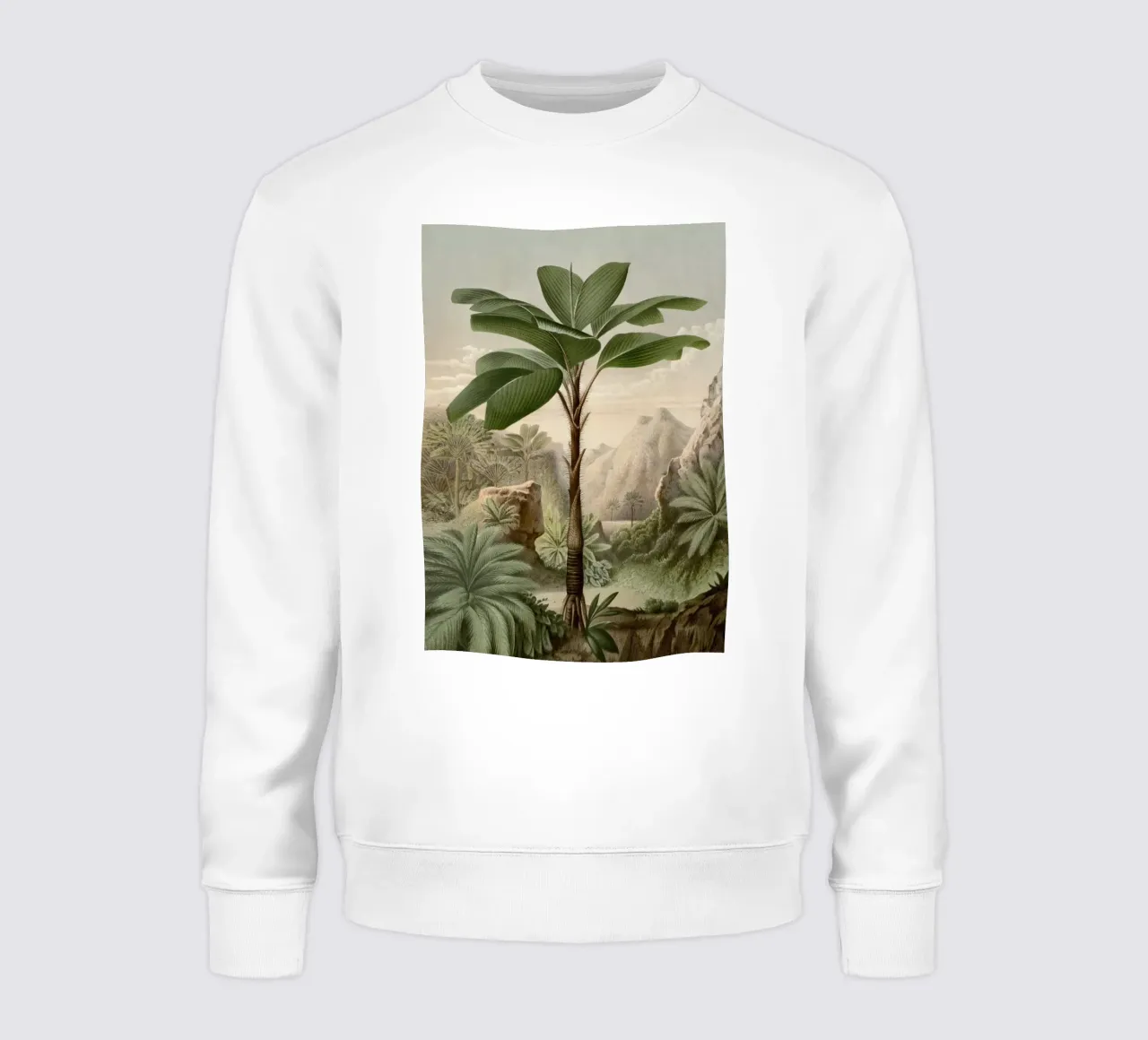 Vintage Houtte 2 Verschaffeltia Splendida felpa da Vintage Print Collection