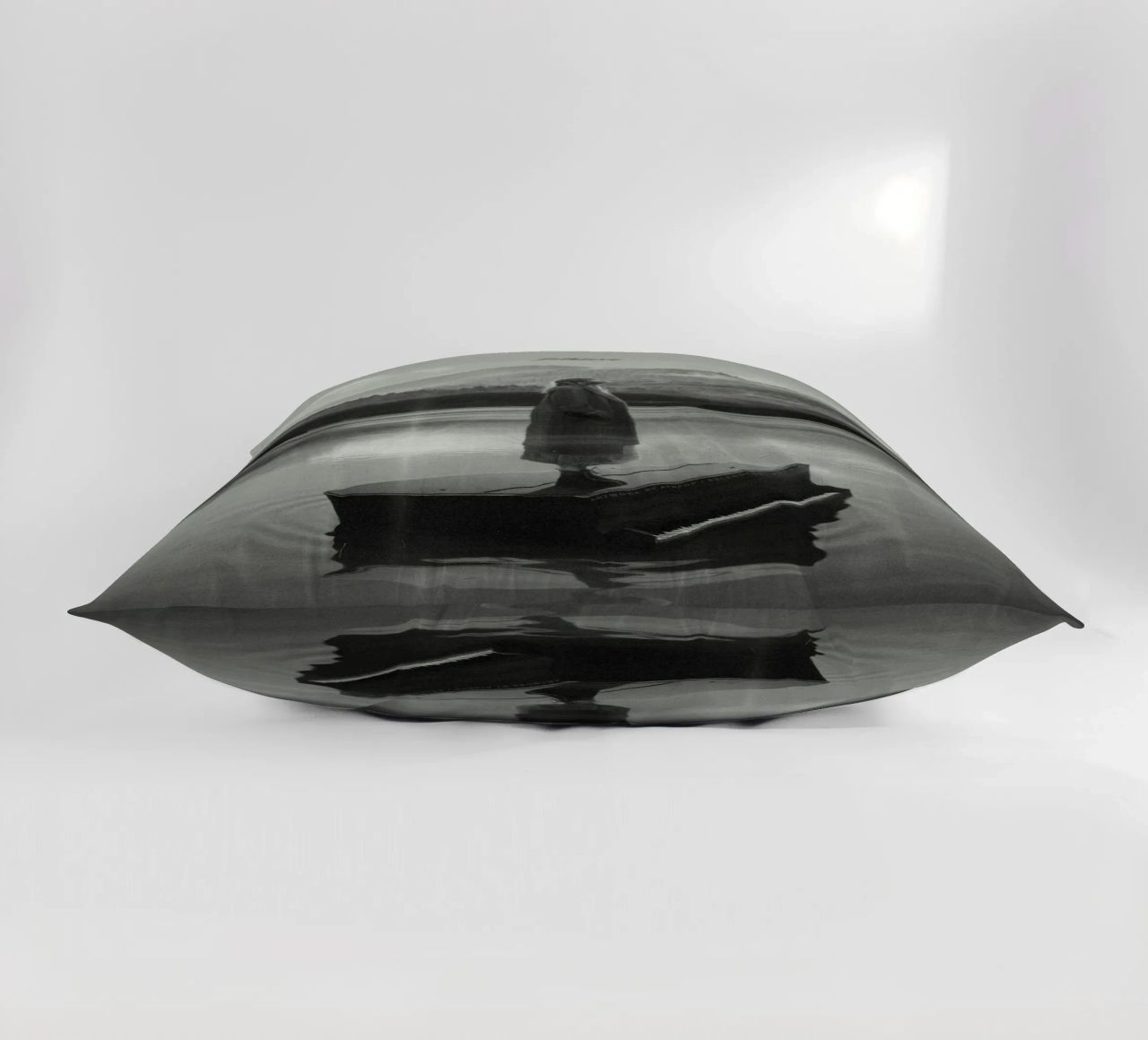 Folclore Bw Swift cuscino da AARON