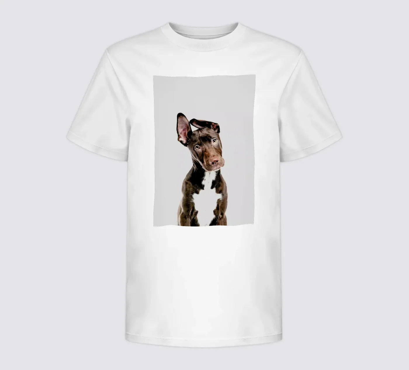 Dog t-shirt bambini da Paws & Claws