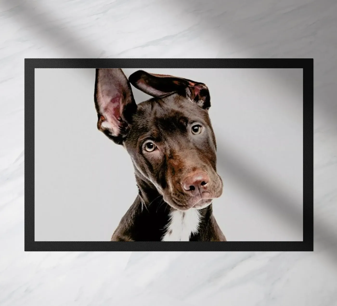 Dog zerbino da Paws & Claws