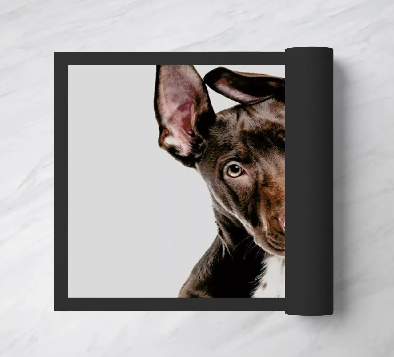 Dog deurmat van Paws & Claws