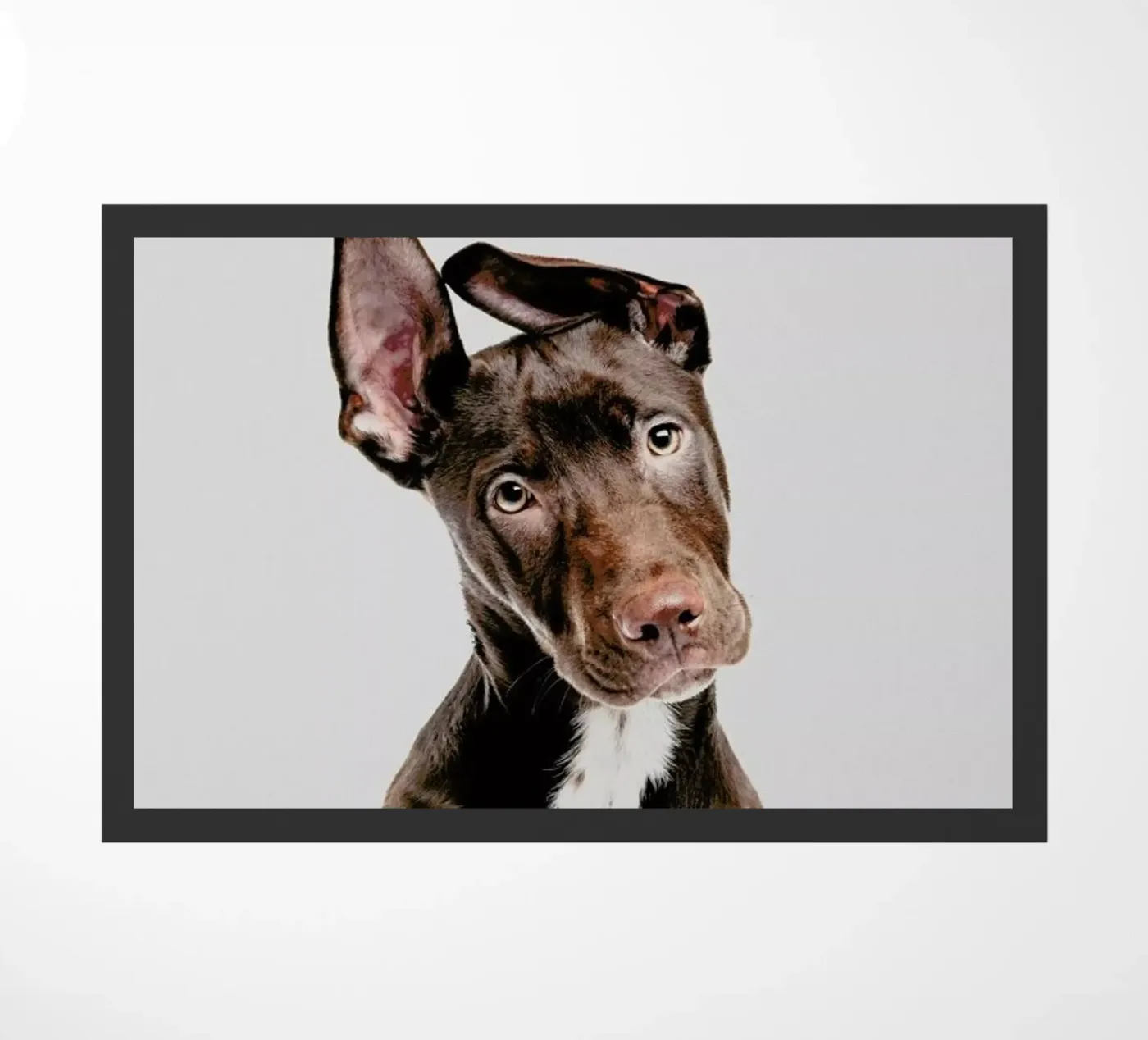 Dog doormat by Paws & Claws