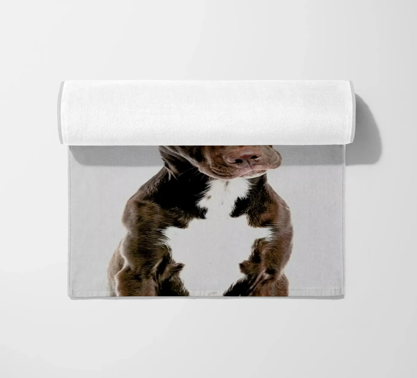 Dog telo mare da Paws & Claws