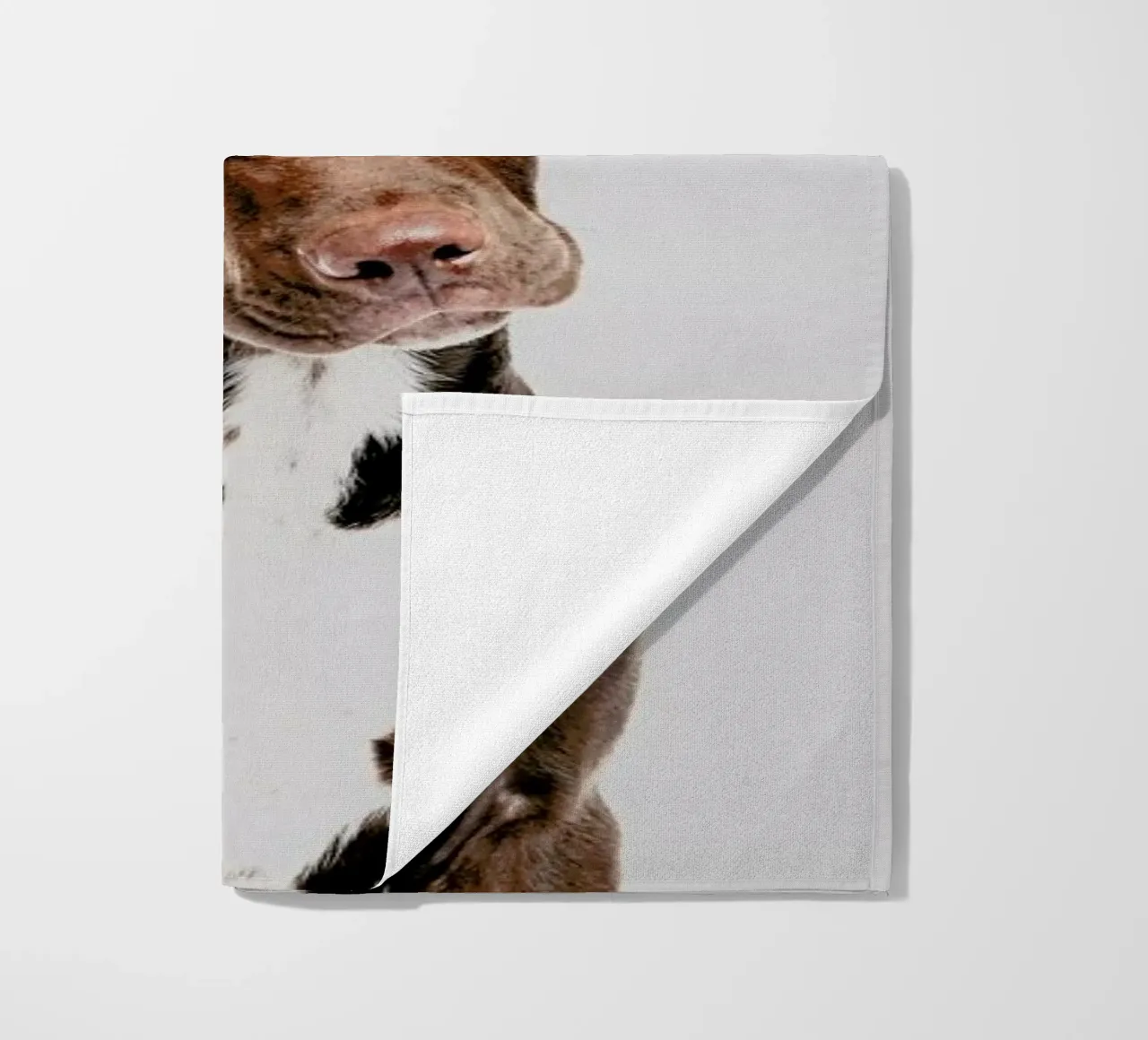 Dog telo mare da Paws & Claws