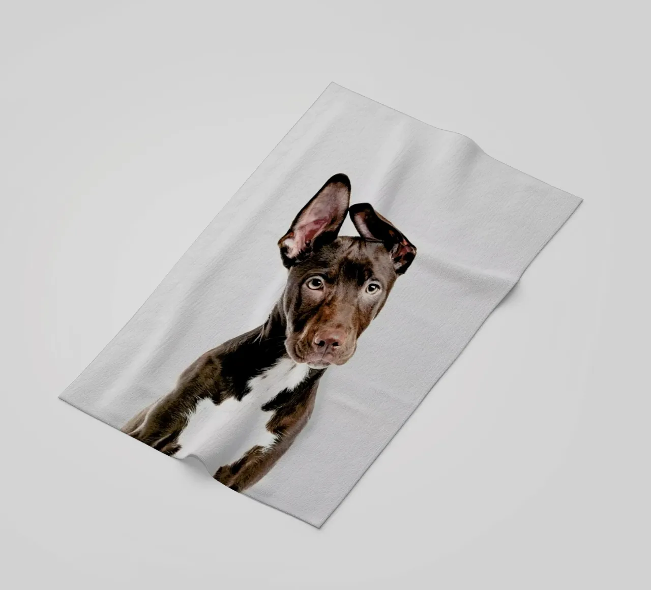 Dog telo mare da Paws & Claws