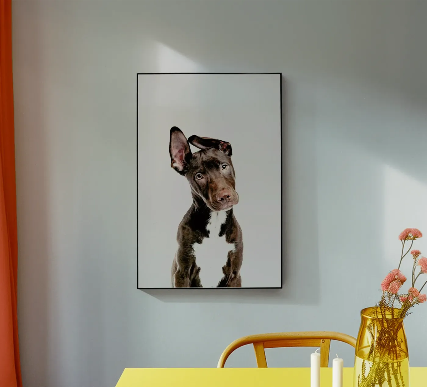 Dog plexiglass da Paws & Claws