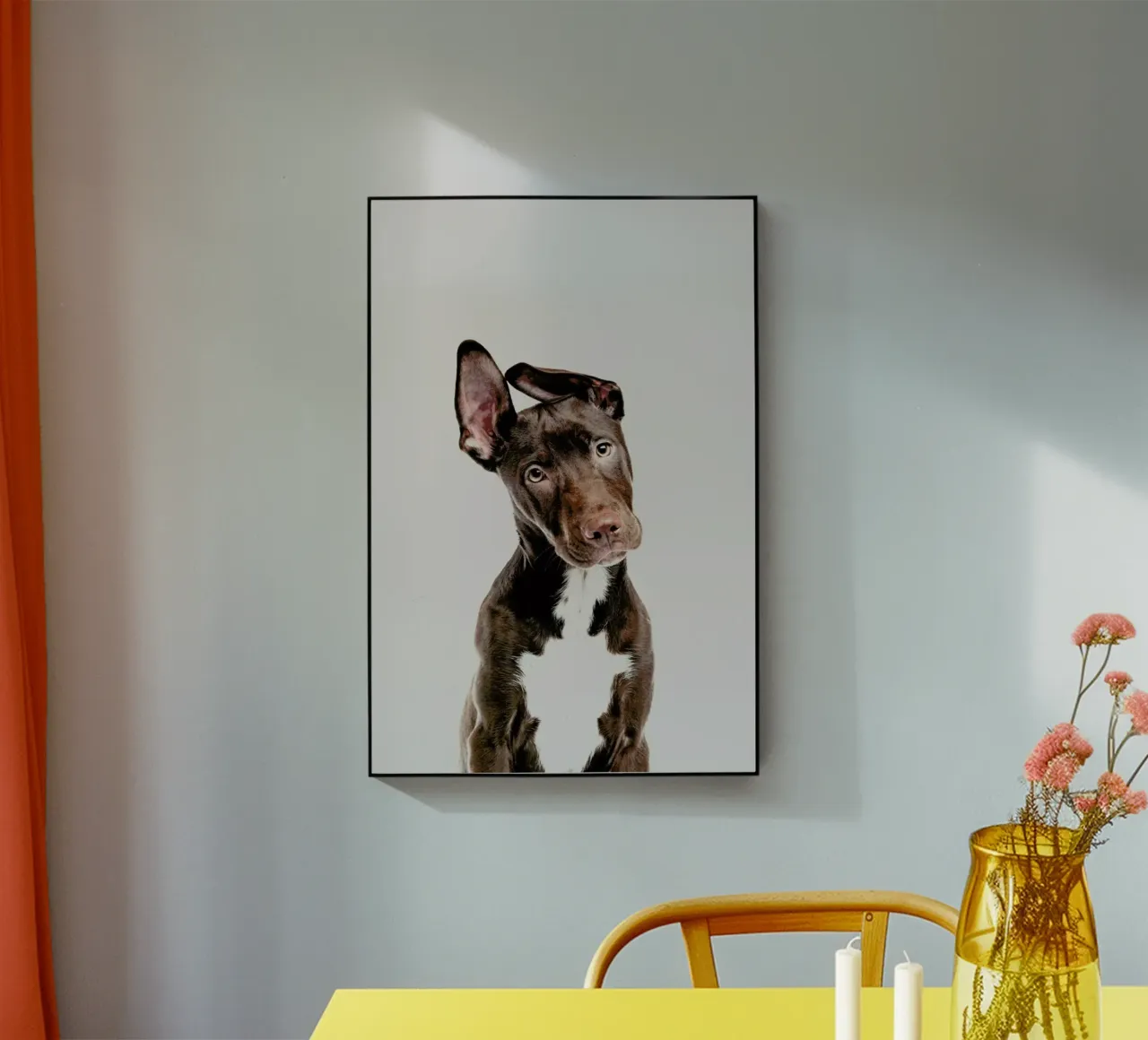 Dog plexiglass da Paws & Claws