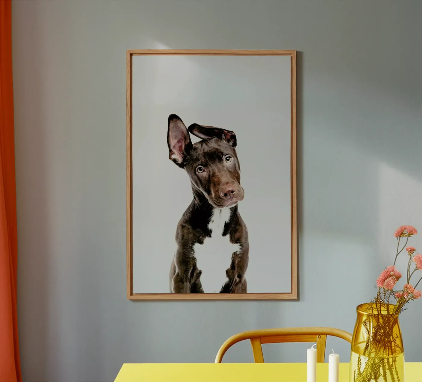 Dog pannello forex da Paws & Claws