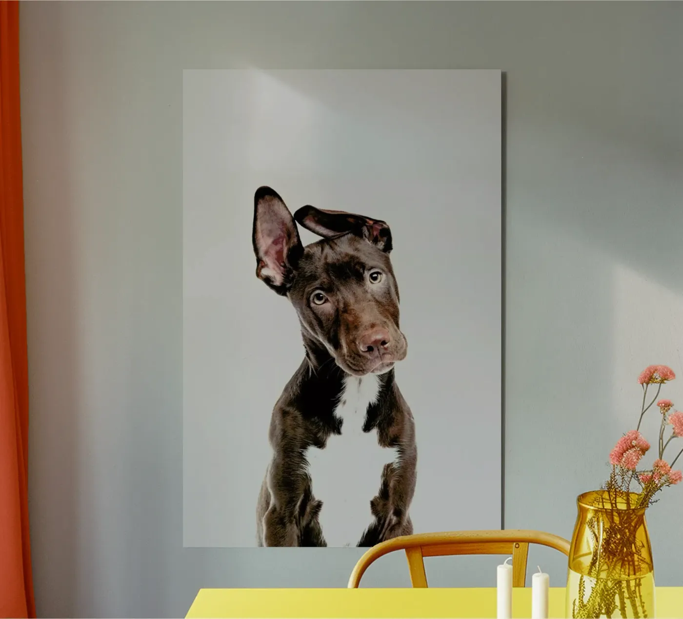Dog pannello forex da Paws & Claws