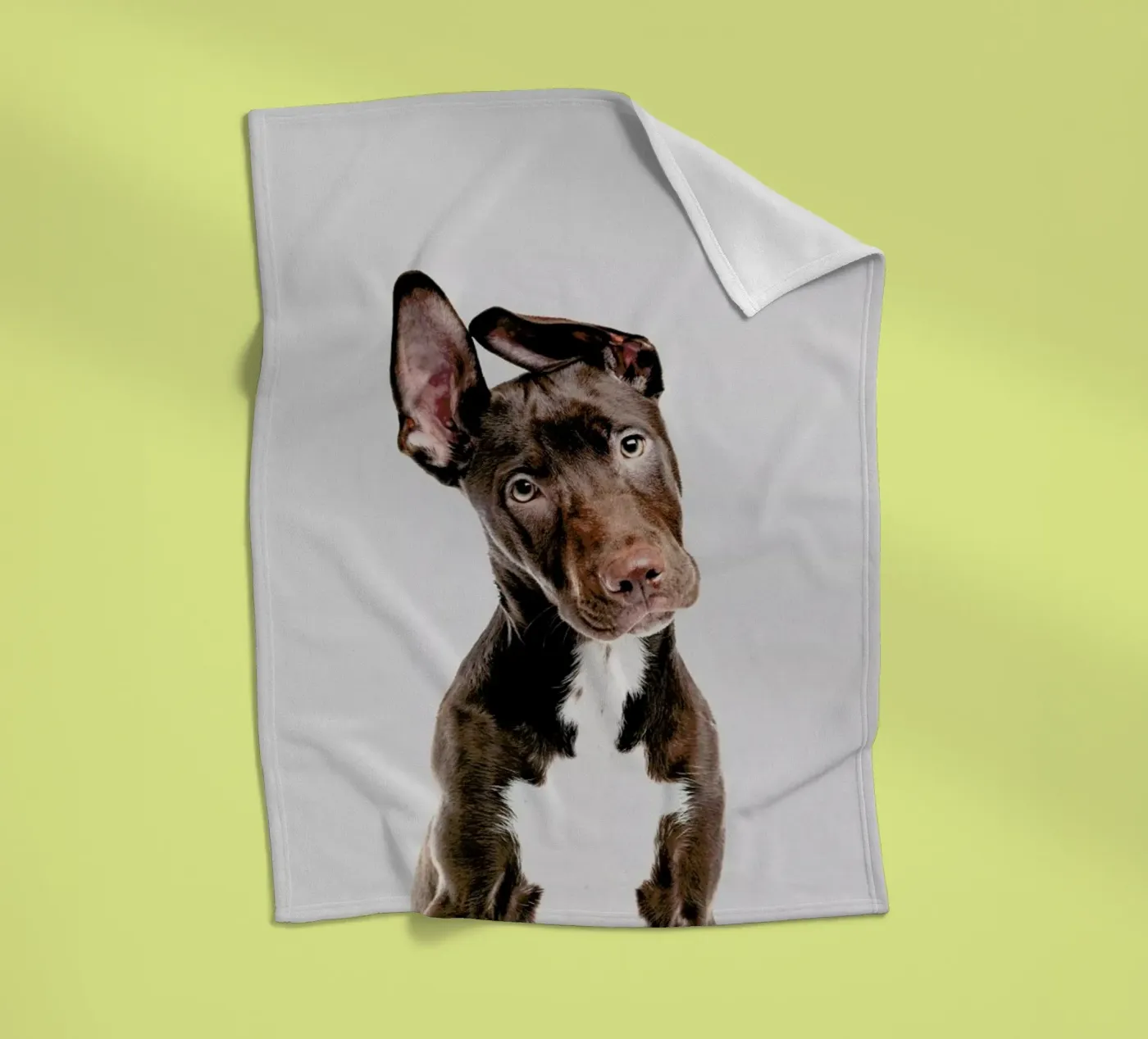 Dog Fleecedecke von Paws & Claws