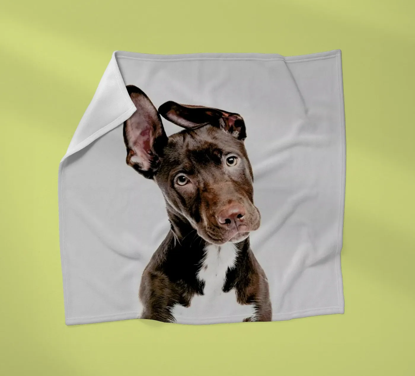 Dog Fleecedecke von Paws & Claws