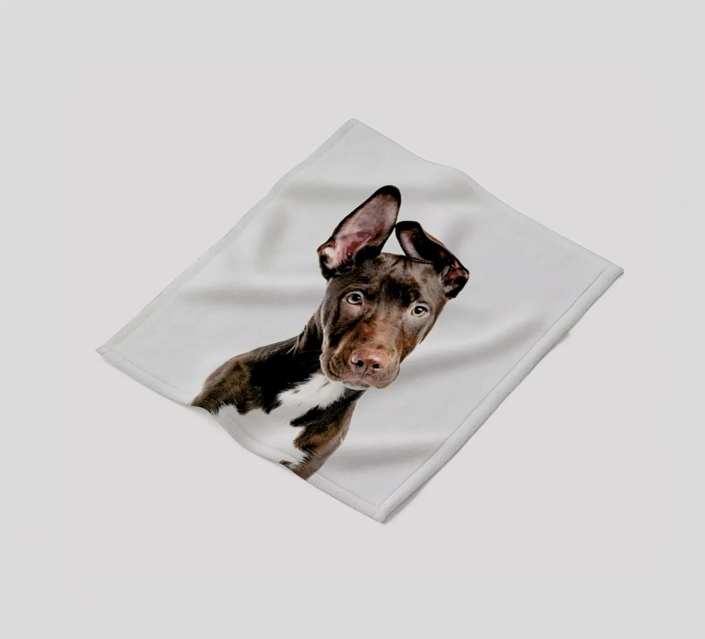 Dog Fleecedecke von Paws & Claws