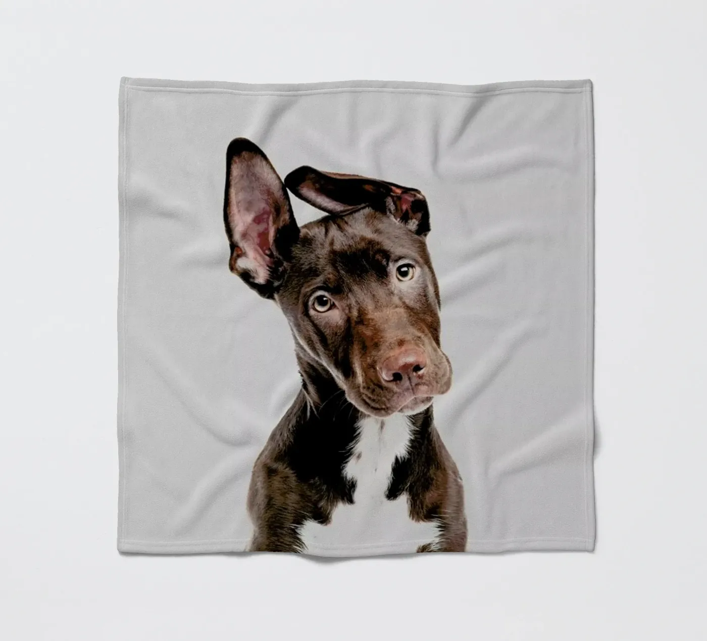 Dog Fleecedecke von Paws & Claws
