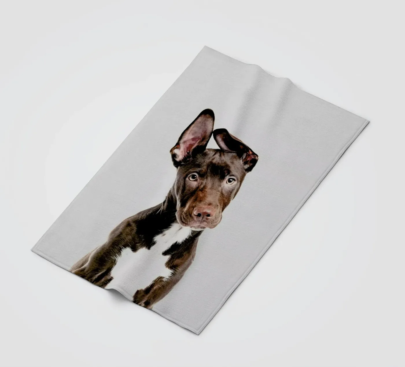 Dog coperta in pile da Paws & Claws