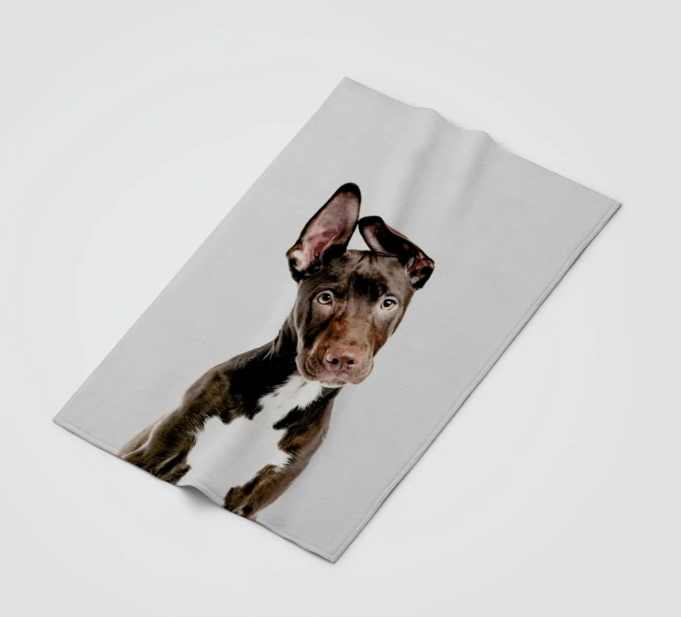 Dog Fleecedecke von Paws & Claws