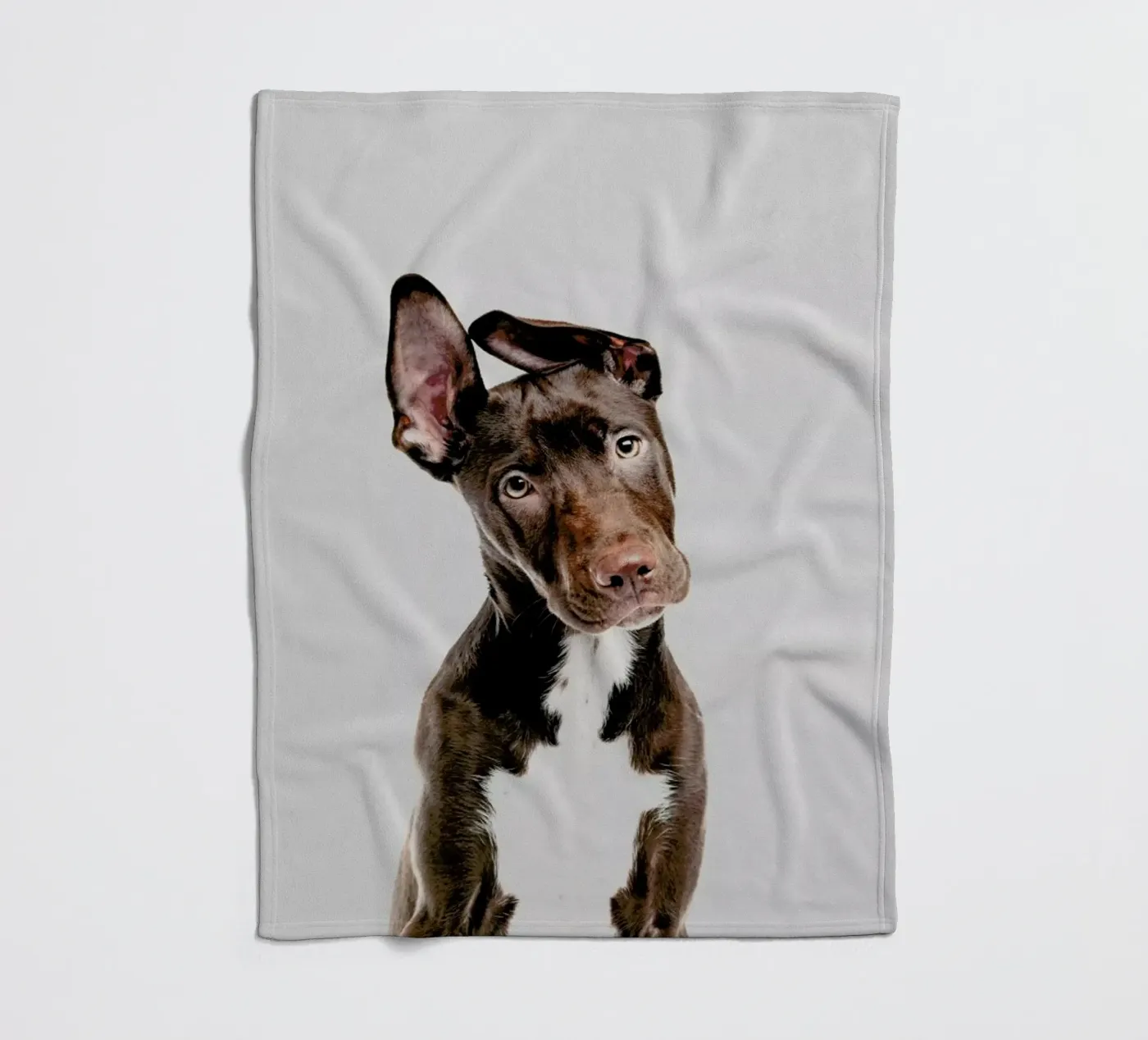 Dog Fleecedecke von Paws & Claws
