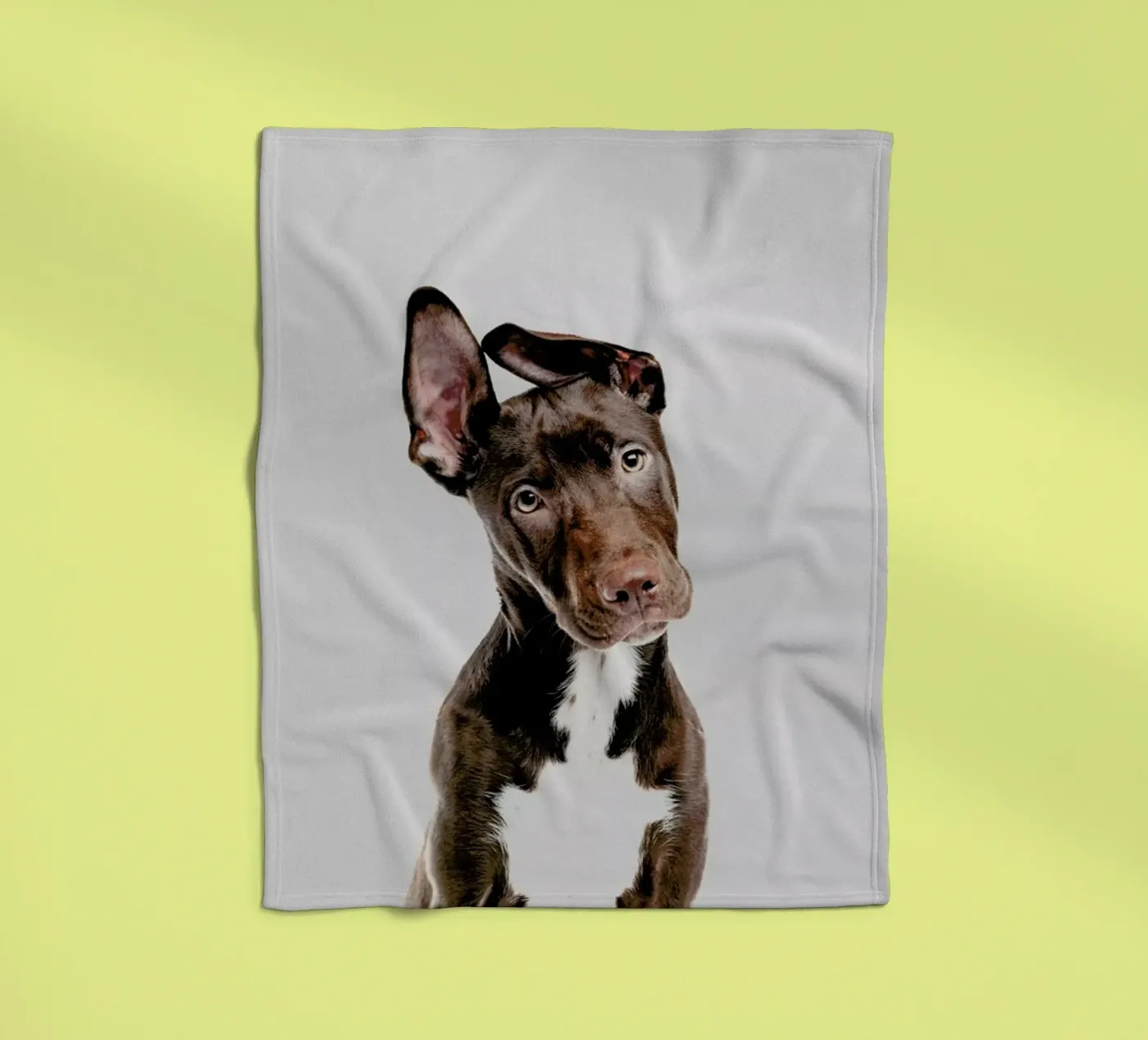 Dog Fleecedecke von Paws & Claws