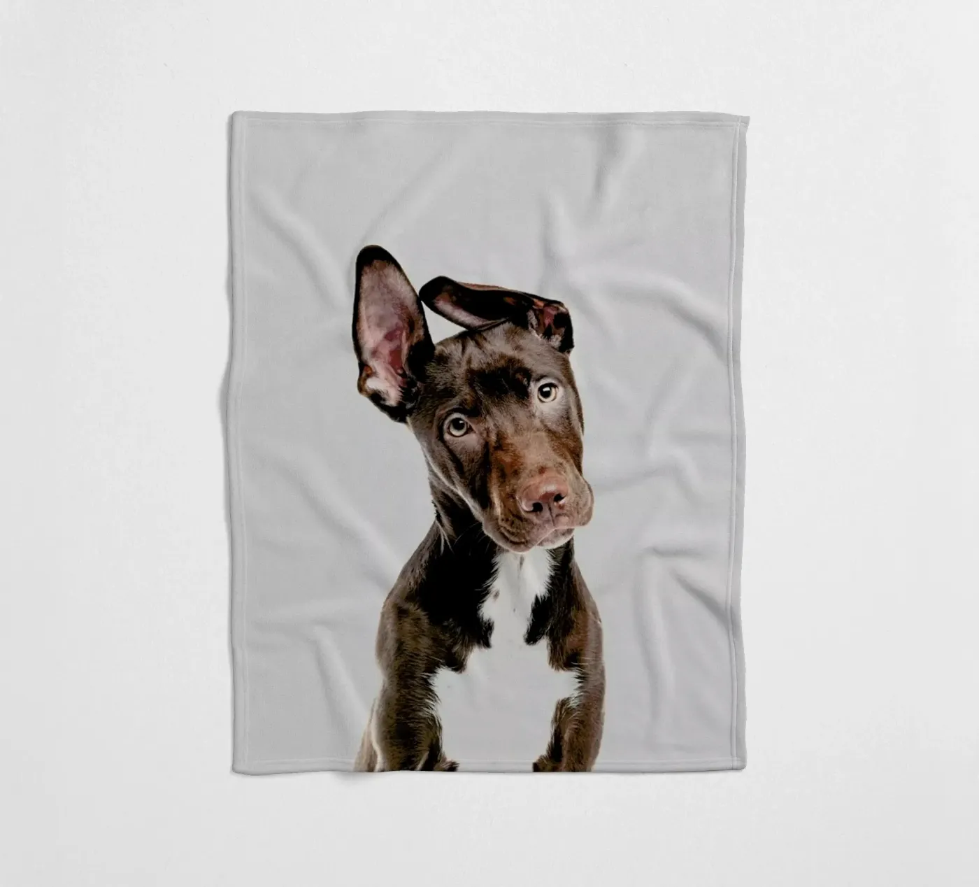 Dog Fleecedecke von Paws & Claws