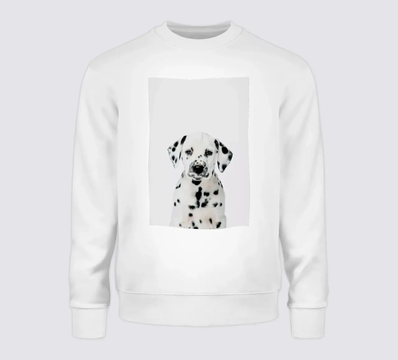 Dalmatian Puppy felpa da Paws & Claws