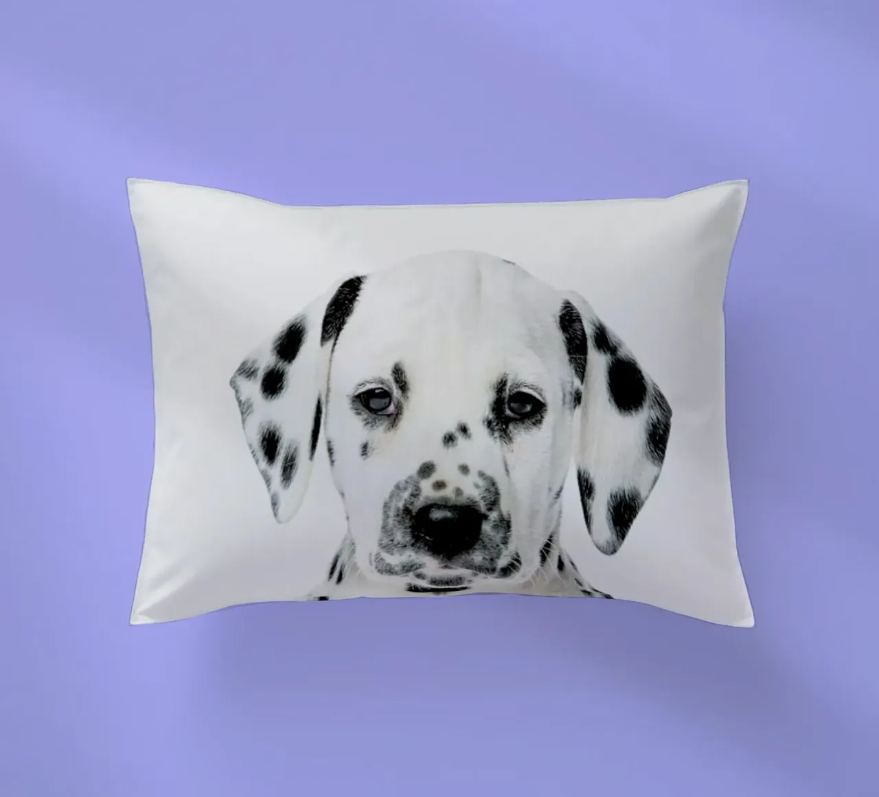 Dalmatian Puppy cuscino da Paws & Claws