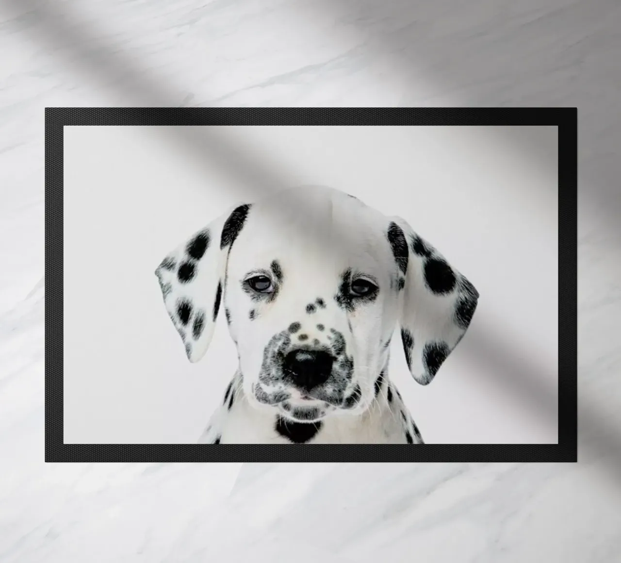 Dalmatian Puppy zerbino da Paws & Claws