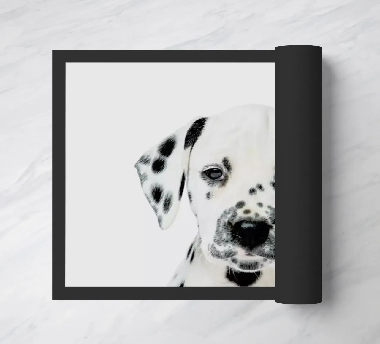 Dalmatian Puppy zerbino da Paws & Claws