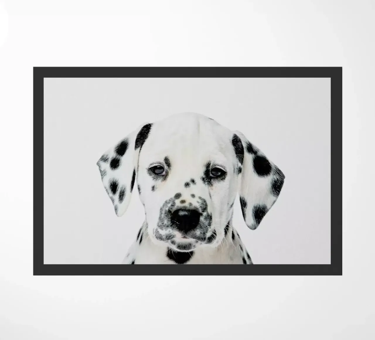 Dalmatian Puppy zerbino da Paws & Claws