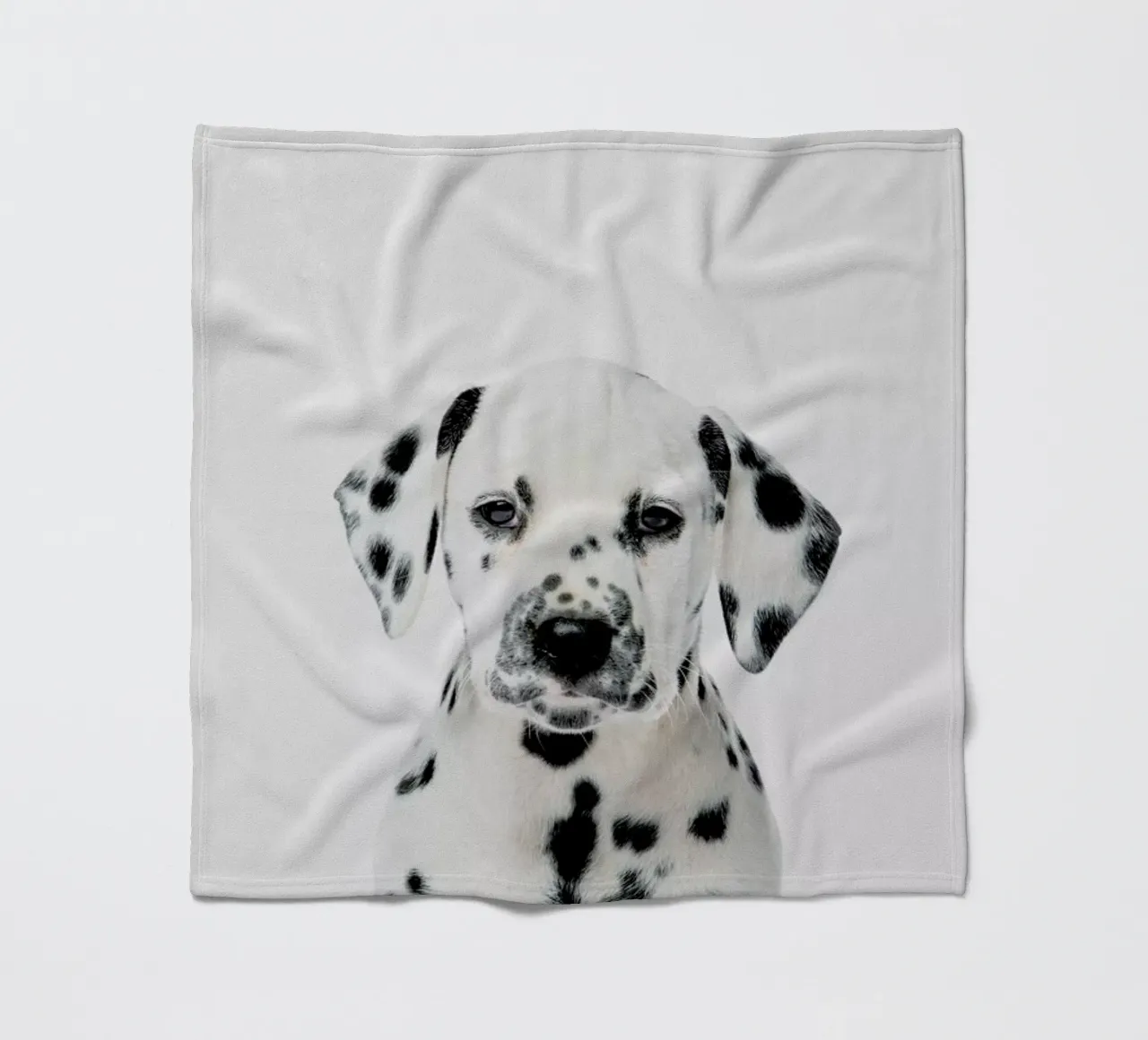 Dalmatian Puppy coperta in pile da Paws & Claws