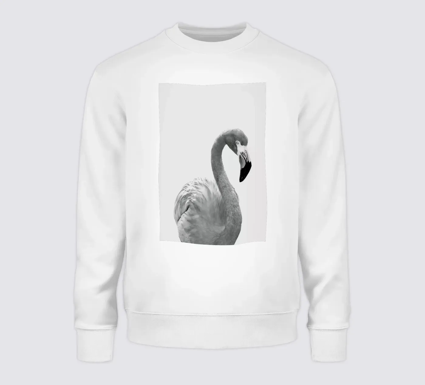 Flamingo sweat de Paws & Claws